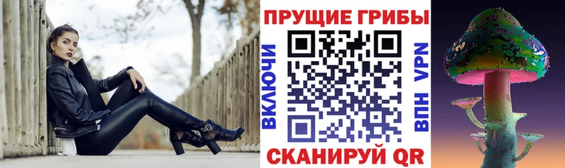 Галлюциногенные грибы прущие грибы  Купить где  Кадников 