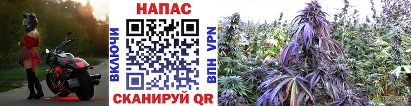 Купить  Кадников  Бошки Шишки ГИДРОПОН 